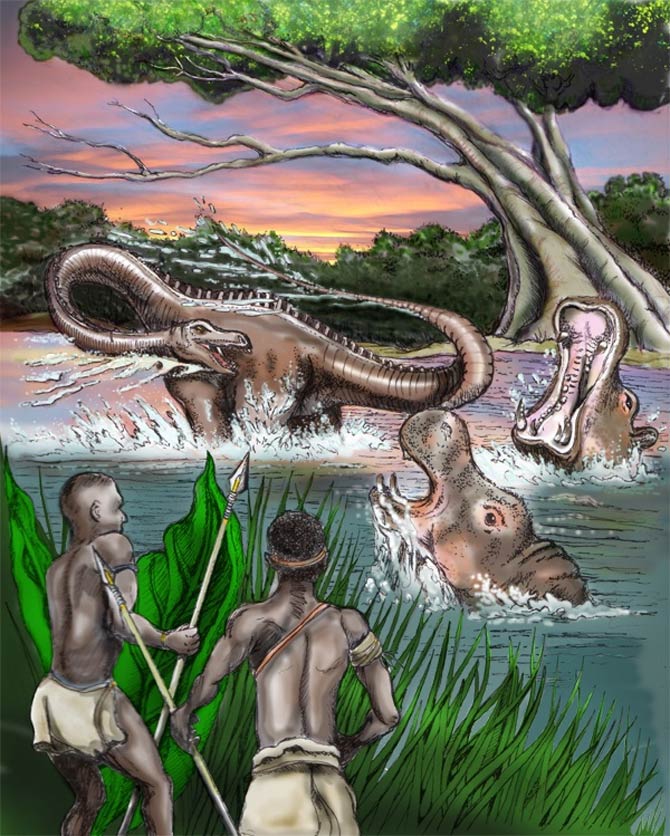 Hunting the Mokele-Mbembe