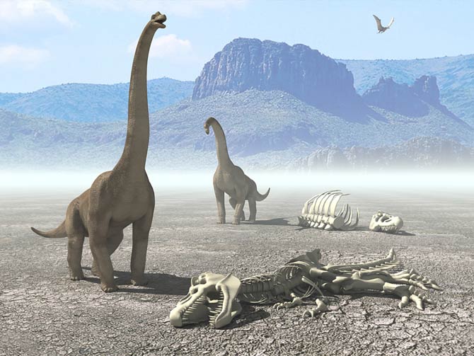 mass-extinctions-of-species-the-big-five-dinoanimals