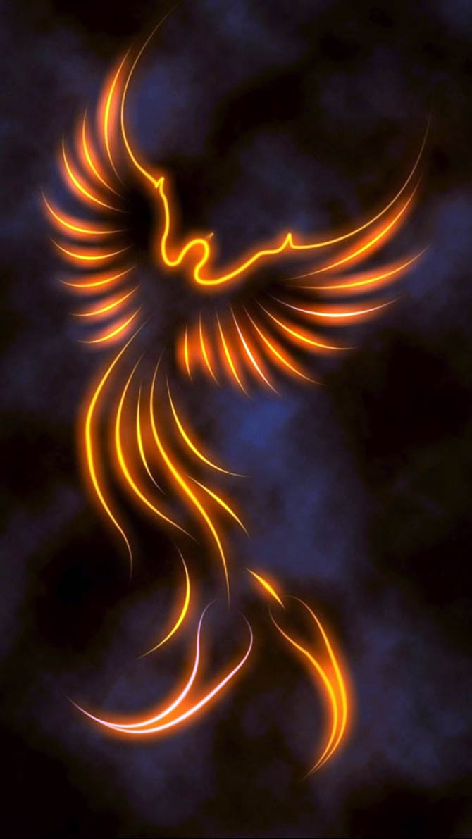 A phoenix bird a mythical creature