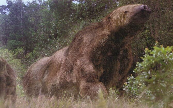 Megatherium (megathere) – elephant-sized sloth | DinoAnimals.com