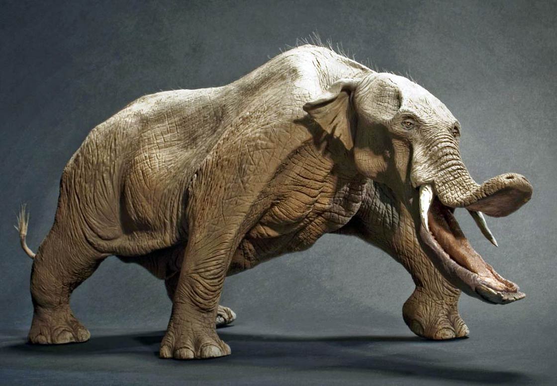 monsters of the past platybelodon