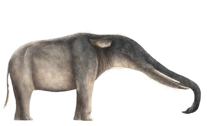 monsters of the past platybelodon