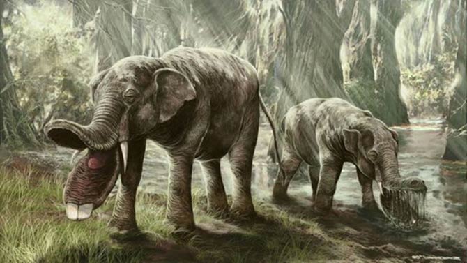 monsters of the past platybelodon