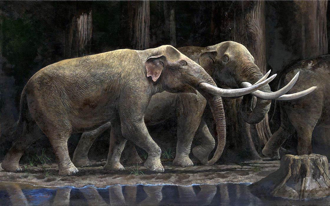 Deinotherium - The Terrible Beast - Facts and Information about the  prehistoric giant elephant
