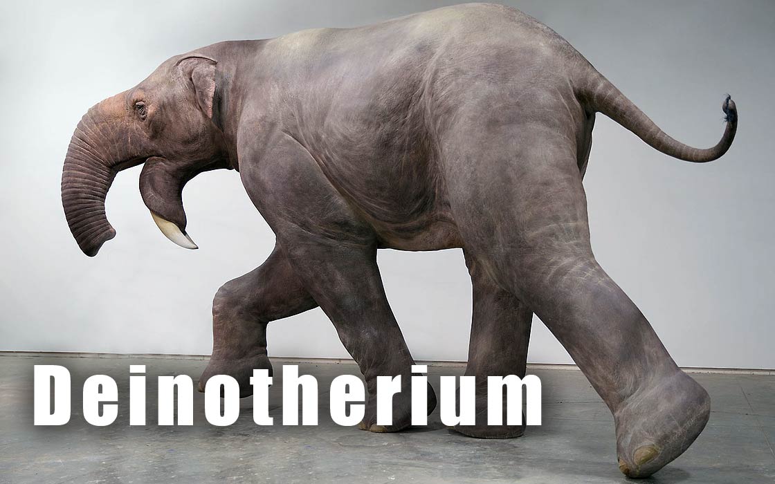 Deinotherium (white background)