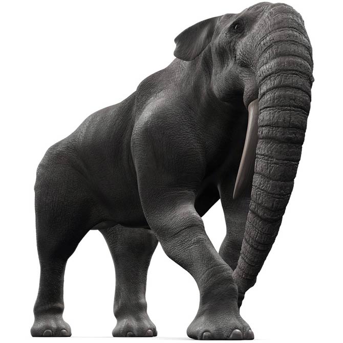 Deinotherium - The Terrible Beast - Facts and Information about the  prehistoric giant elephant