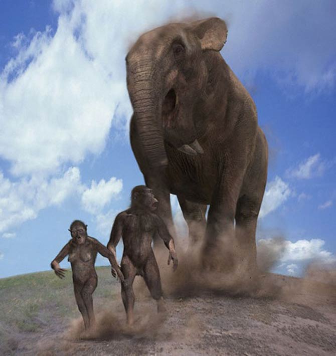 Deinotherium - The Terrible Beast - Facts and Information about the  prehistoric giant elephant