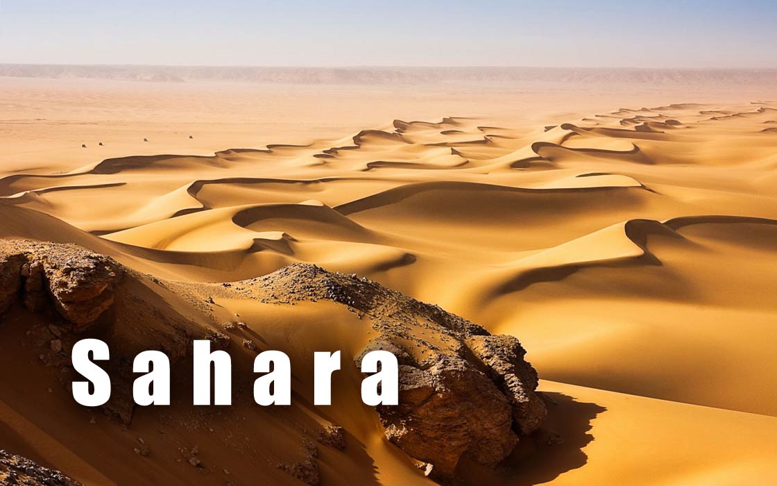 Sahara – the largest desert | DinoAnimals.com