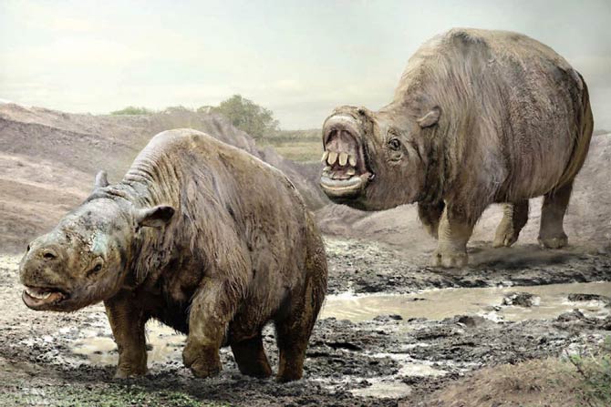 Toxodon – one of the strangest animals | DinoAnimals.com