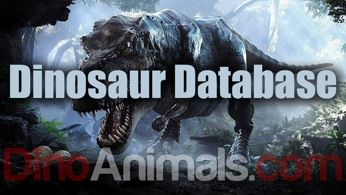 Dinosaur Database