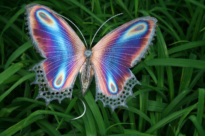 Amazing butterfly wings | DinoAnimals.com