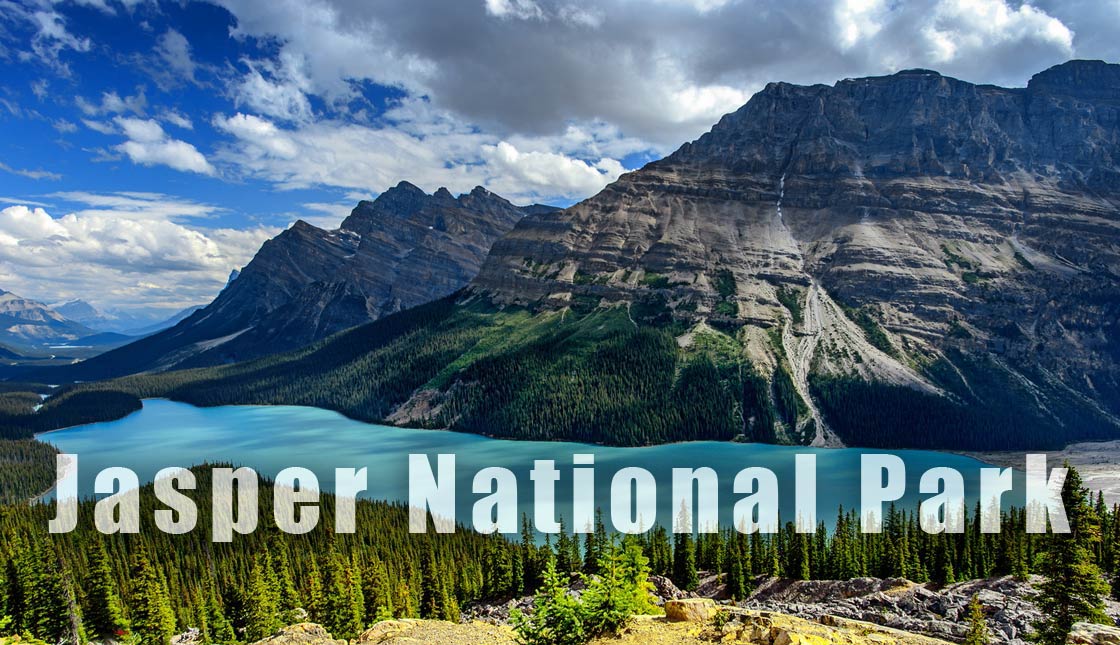 Want A Thriving Business? Focus On National Park!