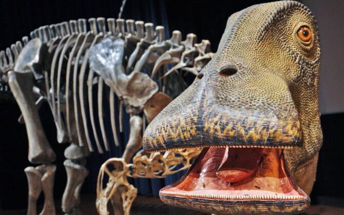 dinoanimals-animals-dinosaurs