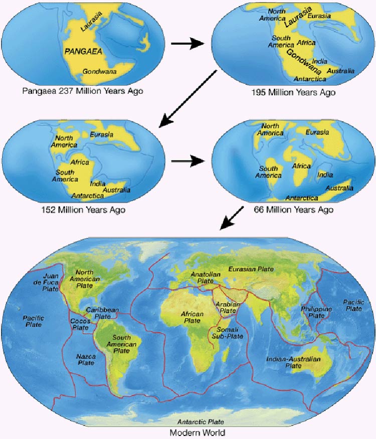 gondwana-the-southern-supercontinent-dinoanimals