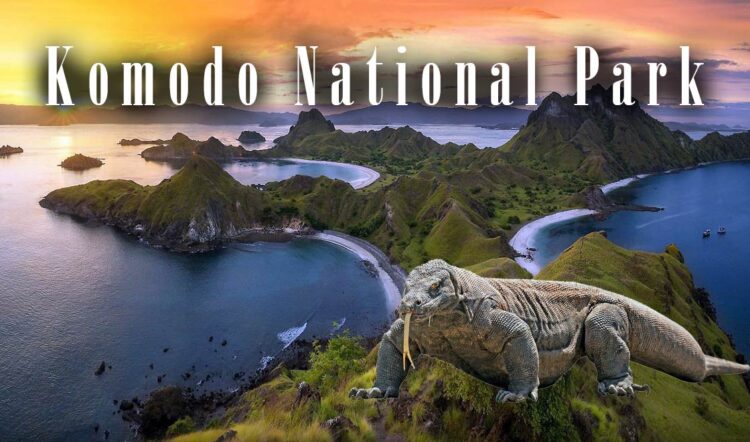 Komodo National Park - Land of Myths and Legend | DinoAnimals.com