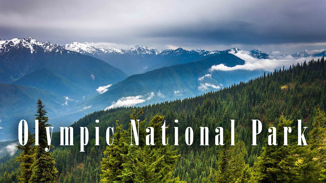 Olympic National Park – A World of Wonder 