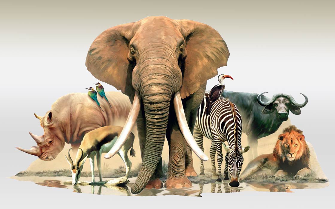 Fauna (animals) of Africa | DinoAnimals.com