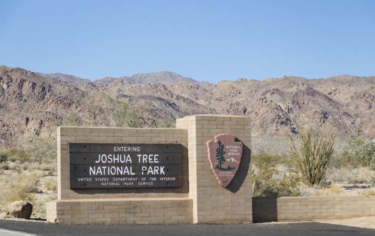 Joshua Tree National Park | DinoAnimals.com