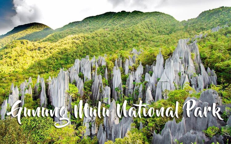 Gunung Mulu National Park | DinoAnimals.com