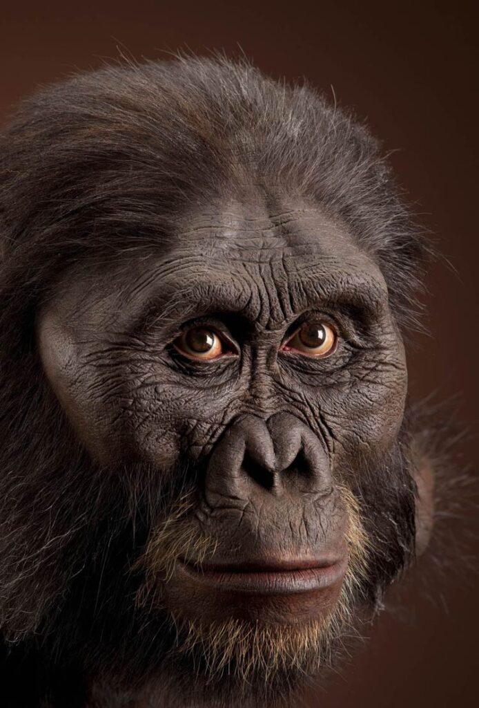 Why did humans lose their hair? | DinoAnimals.com